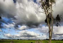 巴塞罗那客场绝杀，主帅面临考验