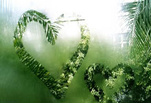 摩纳哥客场不败，继续保持不败金身