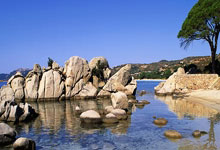 猛龙球员因兴奋剂检测阳性被停赛